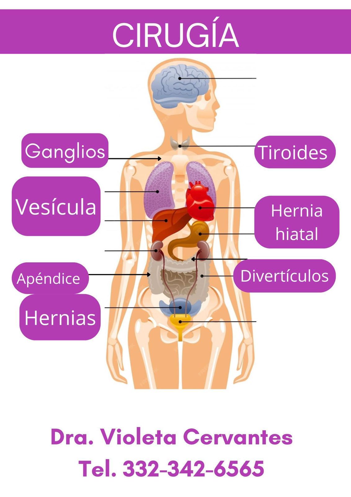 Consultorio Dra. Violeta Cervantes